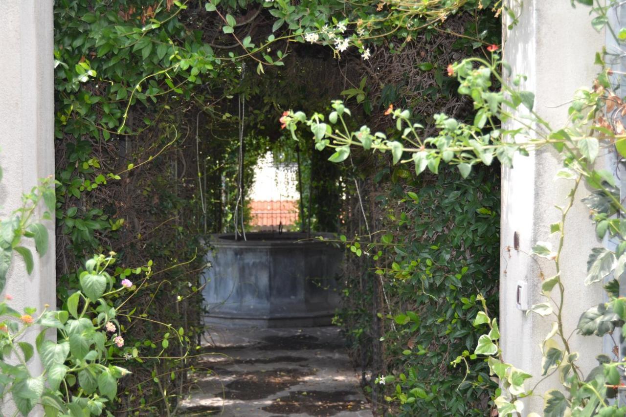 I Giardini Del Vesuvio Villa Somma Vesuviana Eksteriør bilde